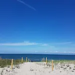 Sonnenstrahl Im Kuestenwald Gelbensande