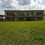 Sonnenstrahl Im Kuestenwald