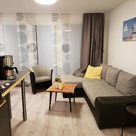 Sonnenstrahl Im Kuestenwald