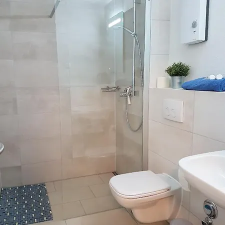 Sonnenstrahl Im Kuestenwald *