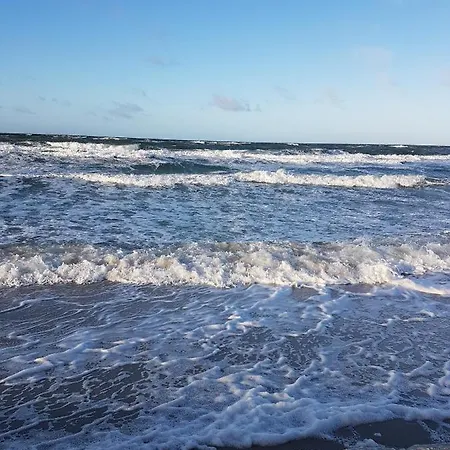 Sonnenstrahl Im Kuestenwald Gelbensande