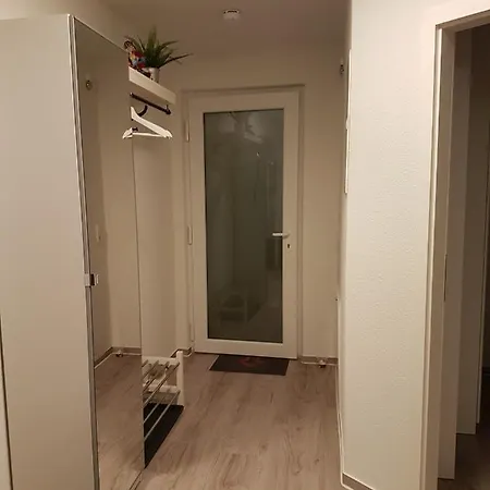 Sonnenstrahl Im Kuestenwald