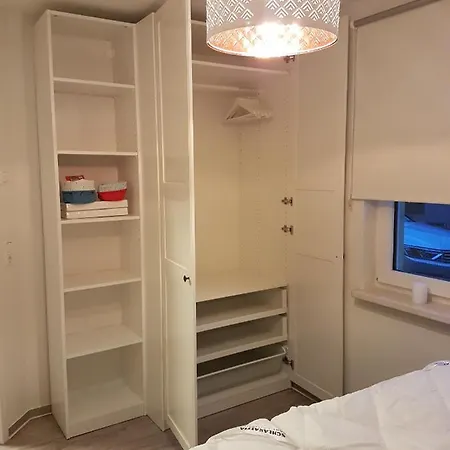 Sonnenstrahl Im Kuestenwald