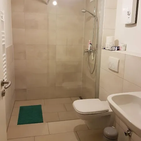 Sonnenstrahl Im Kuestenwald