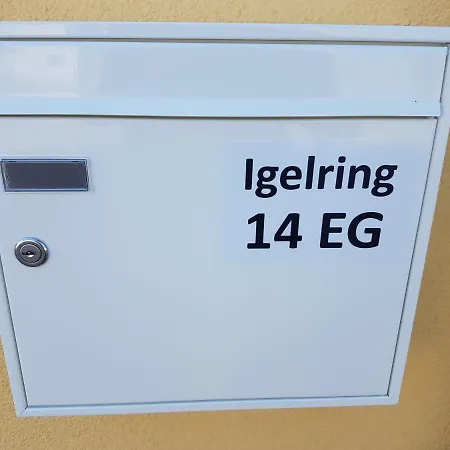 Sonnenstrahl Im Kuestenwald