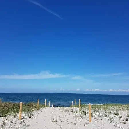 Sonnenstrahl Im Kuestenwald Gelbensande