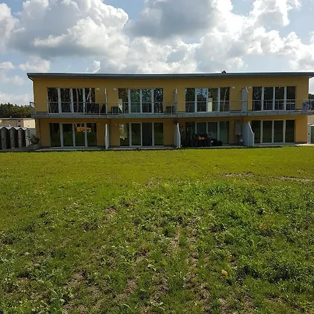 Sonnenstrahl Im Kuestenwald