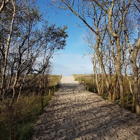 Διαμέρισμα Sonnenstrahl Im Kuestenwald Gelbensande