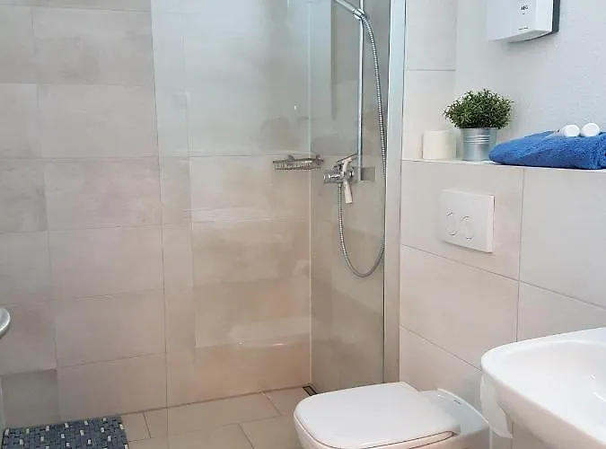 Sonnenstrahl Im Kuestenwald *