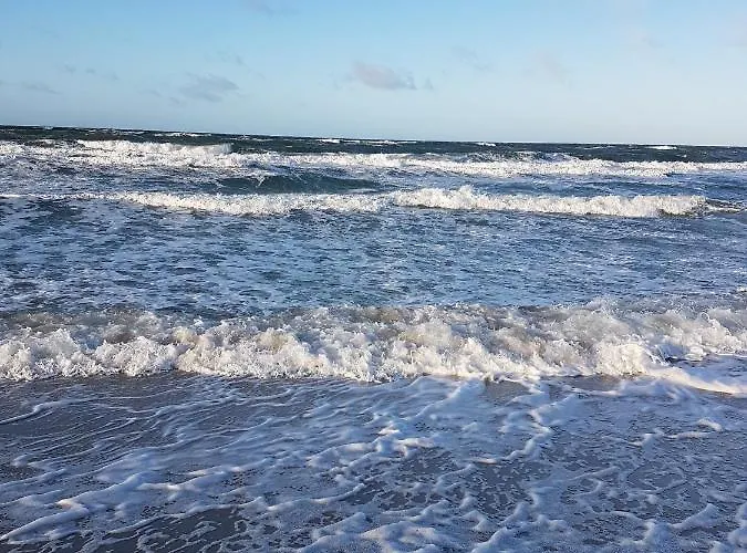 Sonnenstrahl Im Kuestenwald Gelbensande