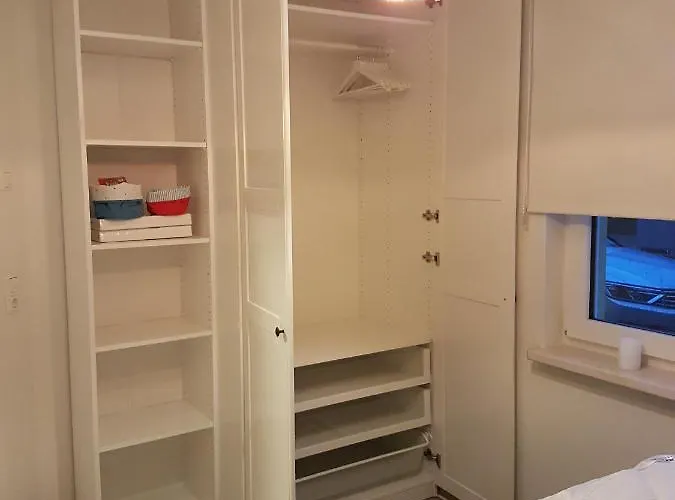 Sonnenstrahl Im Kuestenwald