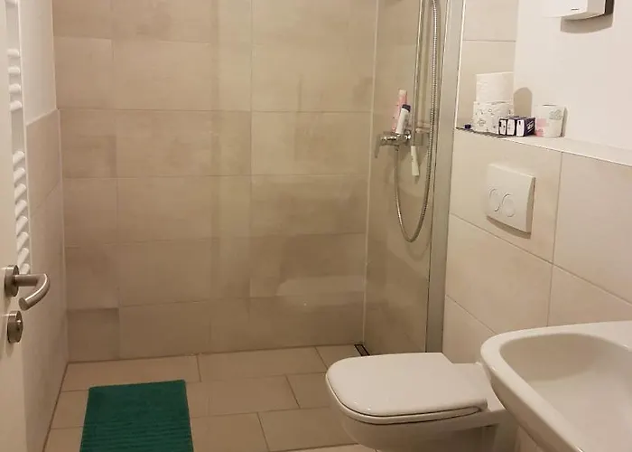 Sonnenstrahl Im Kuestenwald