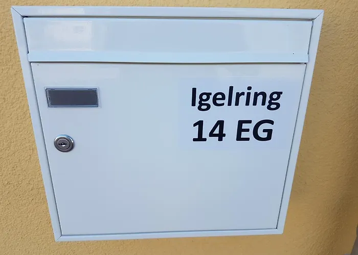 Sonnenstrahl Im Kuestenwald