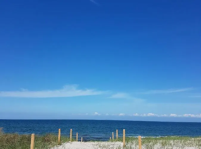 Sonnenstrahl Im Kuestenwald Gelbensande