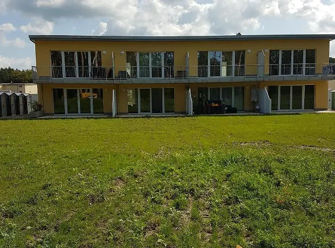 Sonnenstrahl Im Kuestenwald